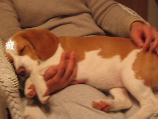 20080210_7.JPG