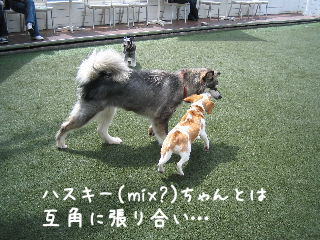 20080421_4.JPG