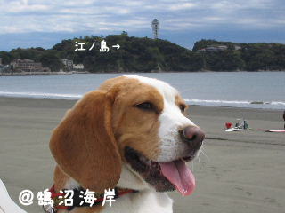 20080421_6.JPG