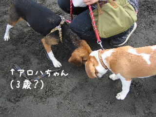 20080421_8.JPG