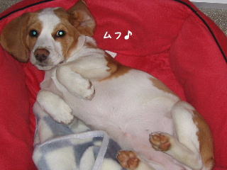 20080207_6.JPG