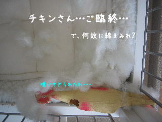 20080228.JPG