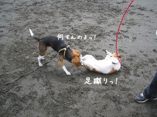 20080421_9.JPG