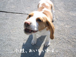 20080121_2.JPG