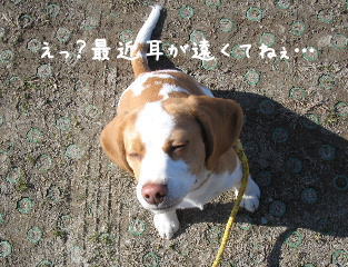 20080121_3.JPG