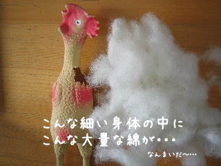 20080228_2.JPG