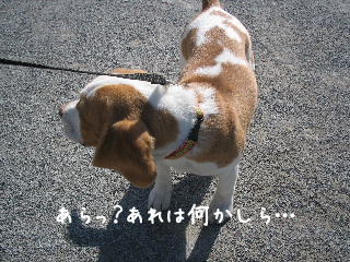 20080121_4.JPG
