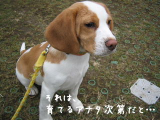 20080121_7.JPG