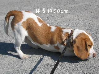 20080222_5.JPG