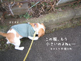 20080201_2.JPG