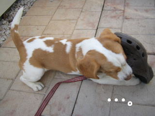 20080222_3.JPG