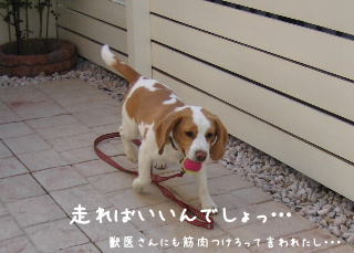 20080222_4.JPG
