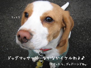 20080201_3.JPG