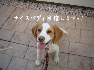 20080222_6.JPG