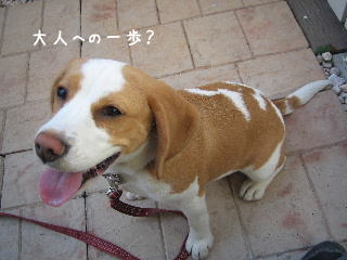 20080222_7.JPG