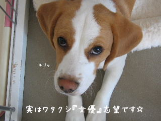 20080219_2.JPG