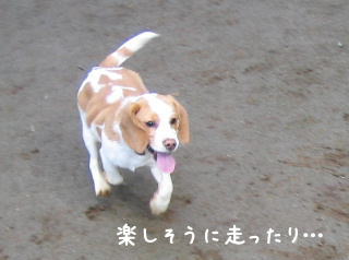 20080219_3.JPG