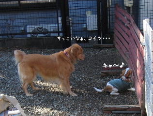 20080125_3.JPG