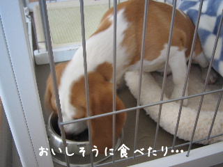 20080219_4.JPG