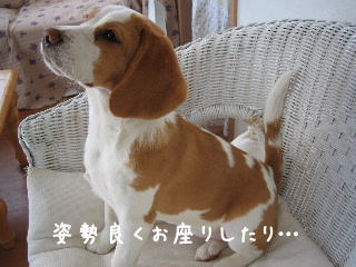 20080219_5.JPG