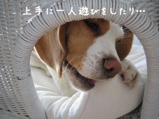 20080219_6.JPG