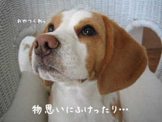 20080219_7.JPG