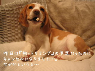 20080113_2.JPG