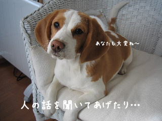 20080219_8.JPG