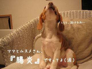20080113_3.JPG