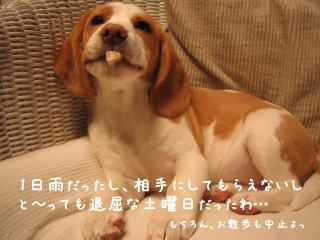 20080113_4.JPG