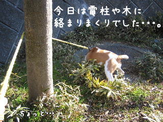 20080125_2.JPG