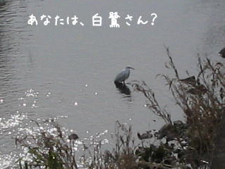 20080128_2.JPG