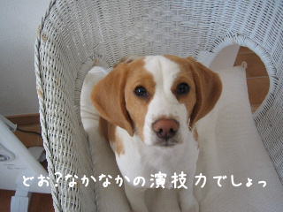 20080219_9.JPG