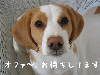 20080219_10.JPG