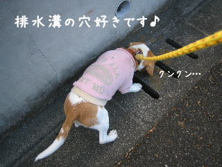 20080128_3.JPG