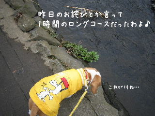 20080113_6.JPG