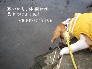 20080113_7.JPG