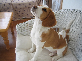 20080219_11.JPG