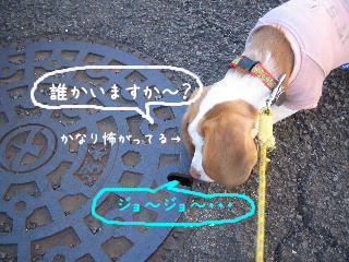 20080128_5.JPG