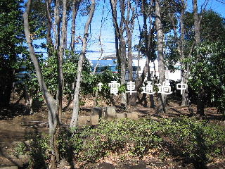 20080227.JPG