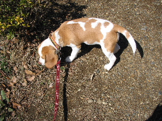 20080227_2.JPG