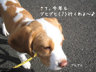 20080101_31.jpg