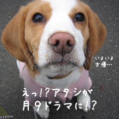 20080115_2.JPG