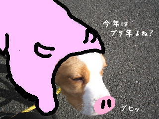 20080101_32.jpg