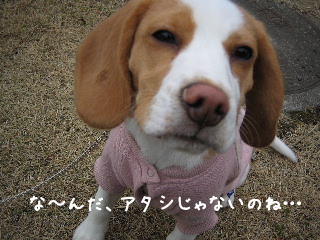 20080115_3.JPG