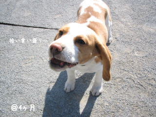 20080215_2.JPG