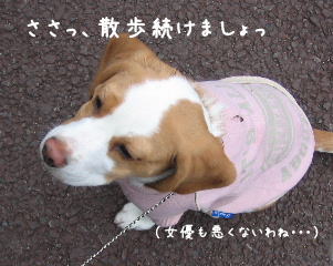 20080115_4.JPG