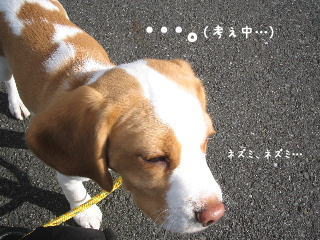 20080101_3.JPG