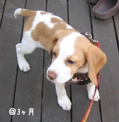 20080215.JPG