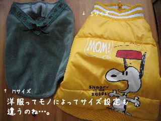 20080108_0.JPG